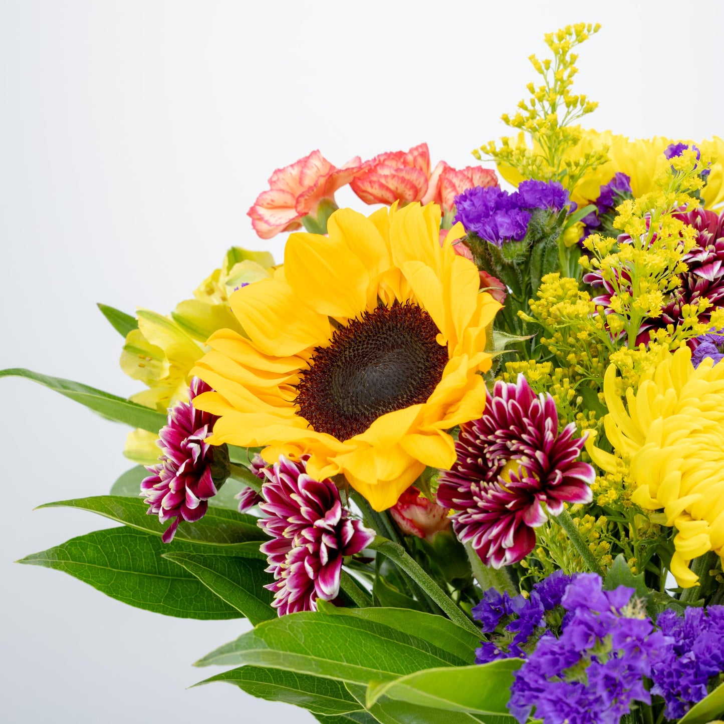 Benchmark Bouquets - Flowering Fields Sunflower Bouquet - Fresh Flowers for Delivery - Mothers Day Flowers - Get Well Gifts for Women - Birthday Flowers for Women (Glass Vase Included)