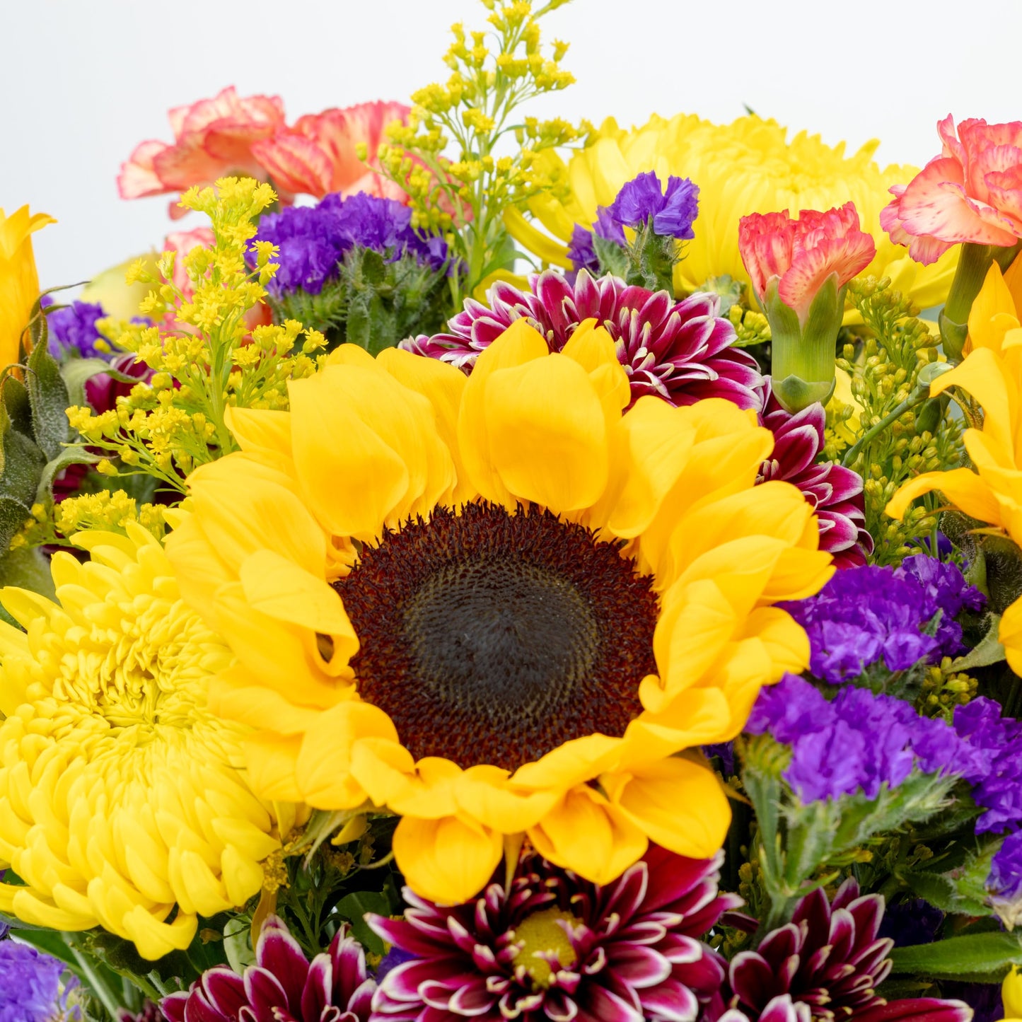 Benchmark Bouquets - Flowering Fields Sunflower Bouquet - Fresh Flowers for Delivery - Mothers Day Flowers - Get Well Gifts for Women - Birthday Flowers for Women (Glass Vase Included)